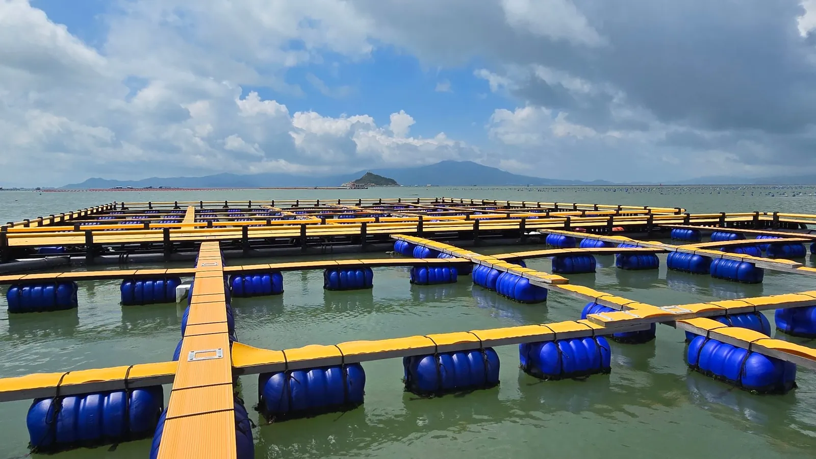 Floating raft cages with blue buoys at our sea farm