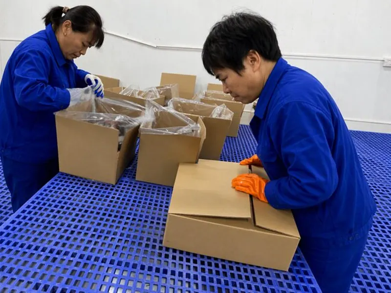 Workers packing fish into export cartons in the plant