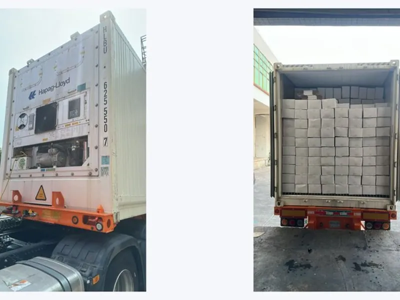 Reefer truck and loaded container at the HTXH plant